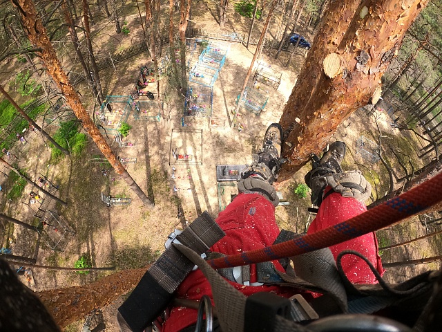 Спилить аварийное дерево