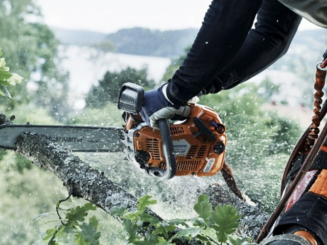 Вариации удаления деревьев